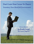 Ideal Job Environment Cover